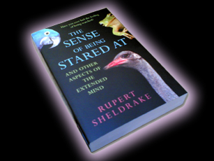 sheldrake